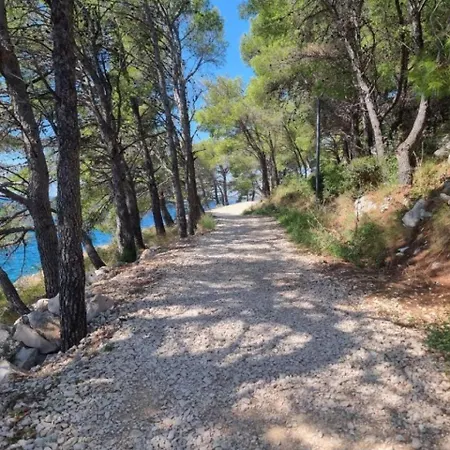 キャンプ場 Premium Mobile Lana - Oaza Mira ドラゲ